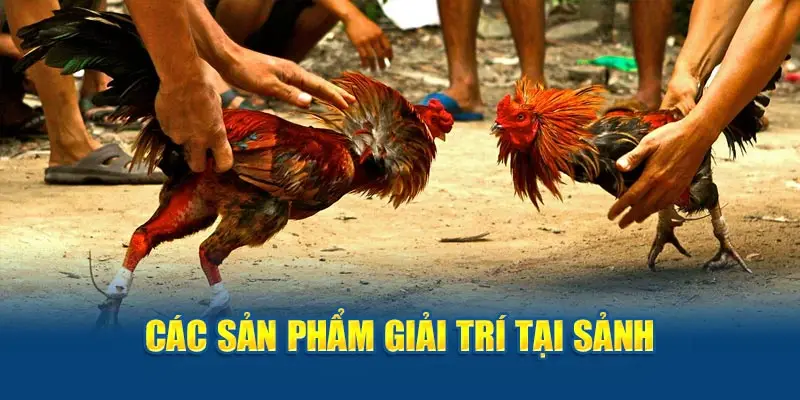 Các sản phẩm giải trí tại sảnh